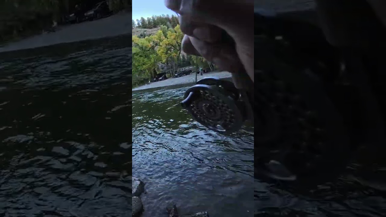 The Colorado salmon run is the best fishing #colorado #fishing #salmonrun #salmon