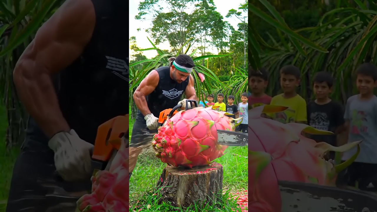 Cutting Open a Huge Dragon Fruit with a Chainsaw #dragon #cuttingskills #giantfood