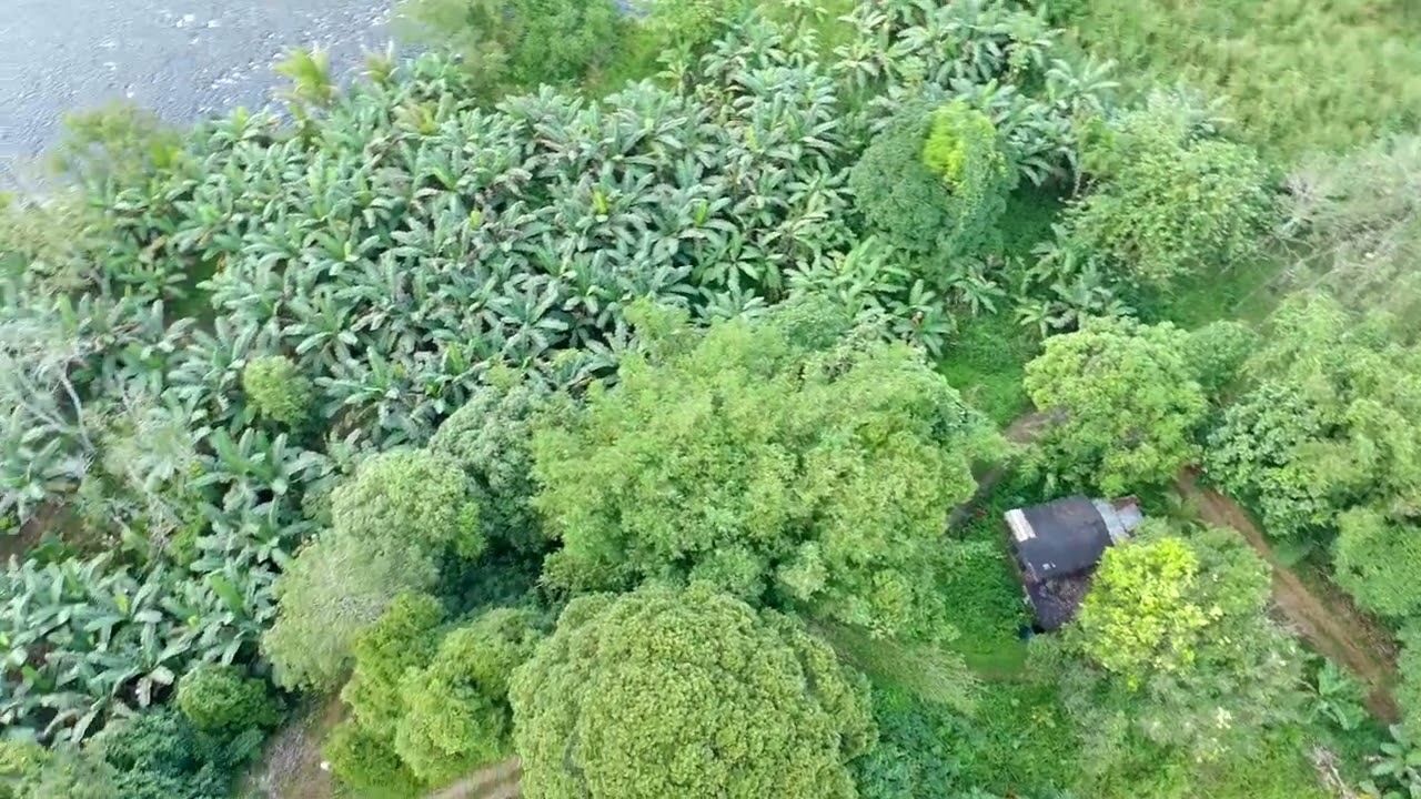 fly from kg tambulaung kb part3(2/2/2026)