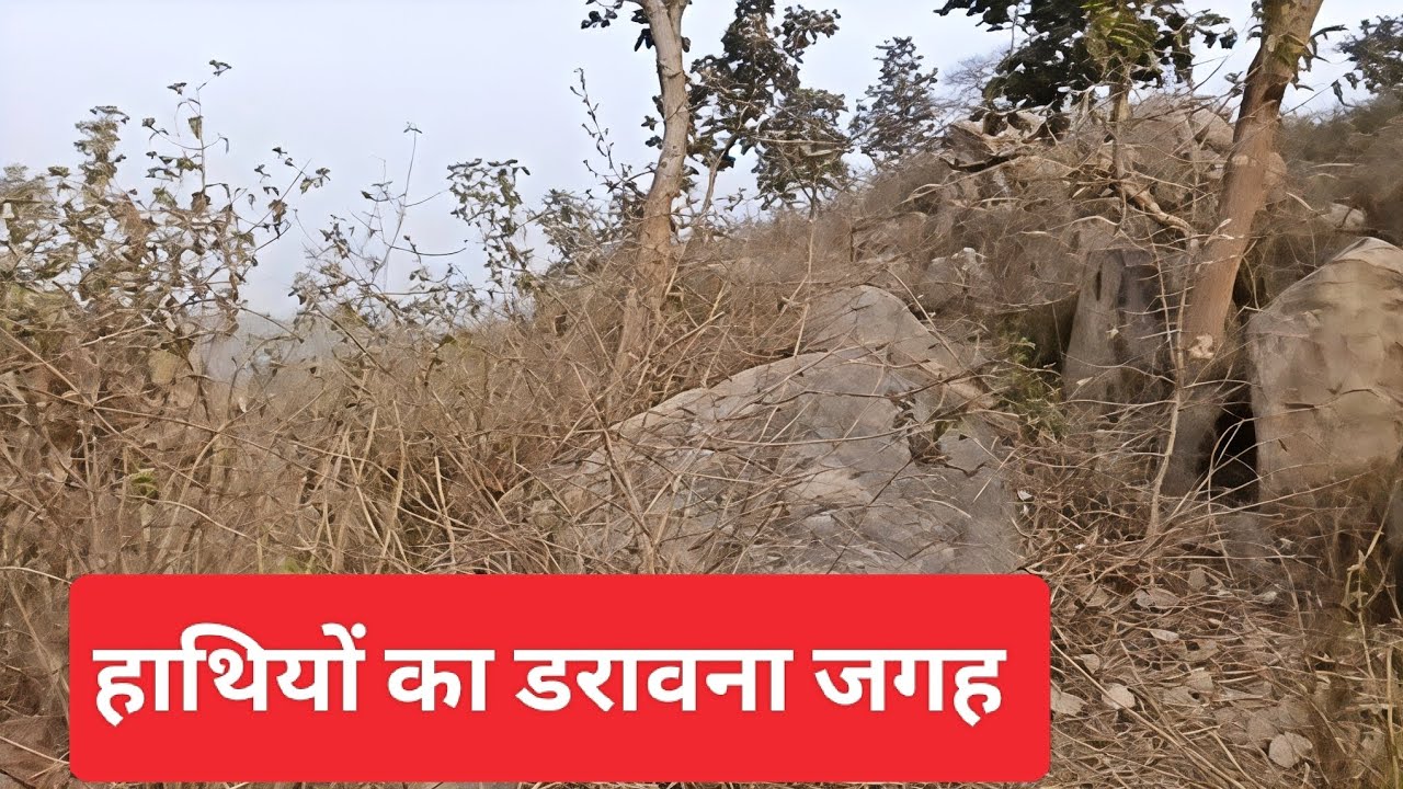 हाथियों का डरावना जगह।