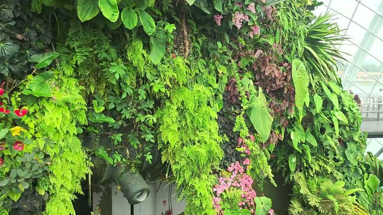 MOTHER'S NATURE WALK IN SINGAPORE 🇸🇬 😍 