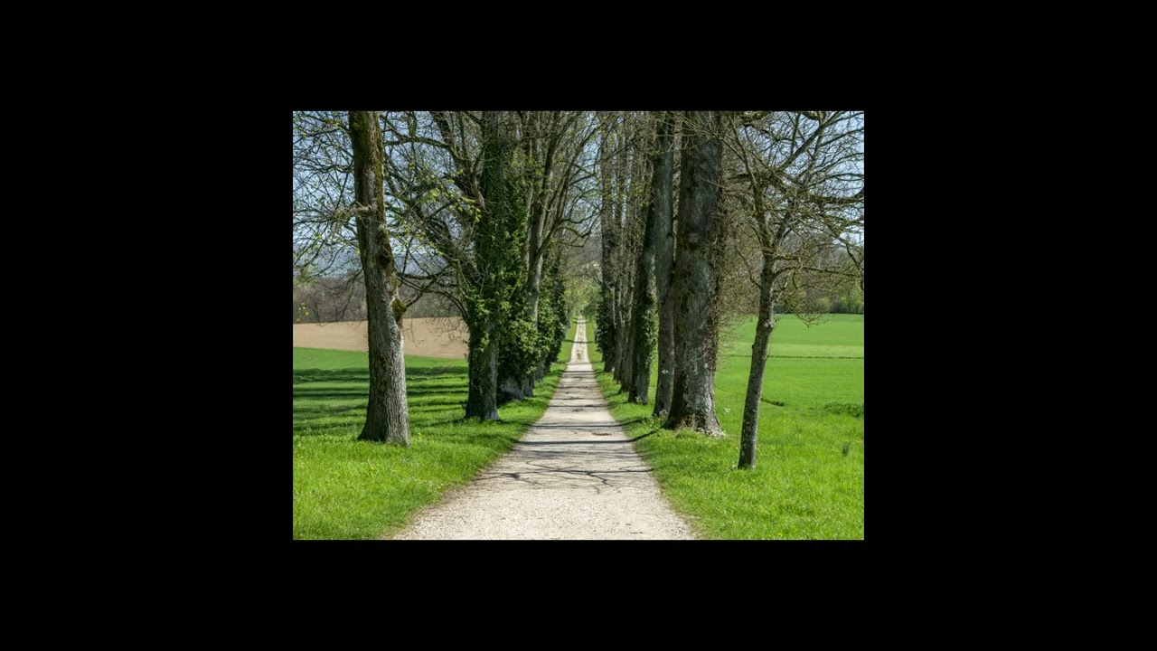 The Path (l)