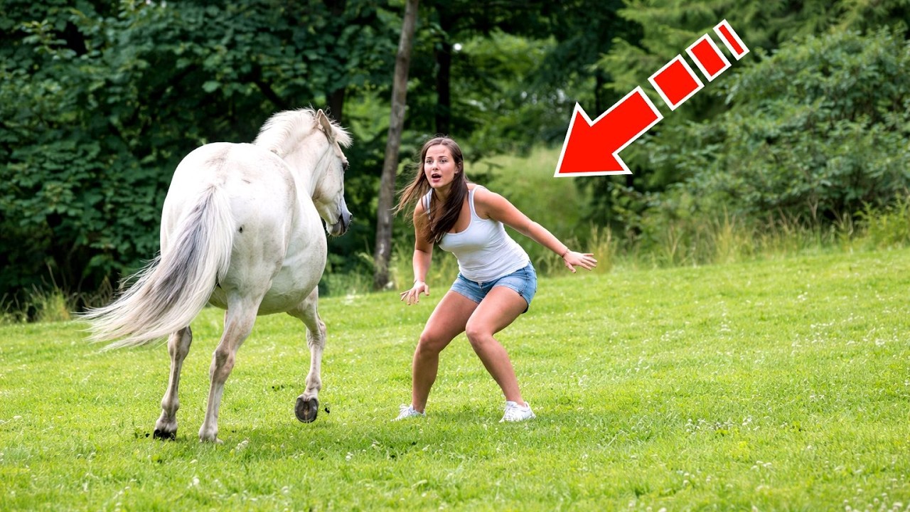 Это видео шокировало весь мир! Посмотрите, что сделала девушка с лошадью!