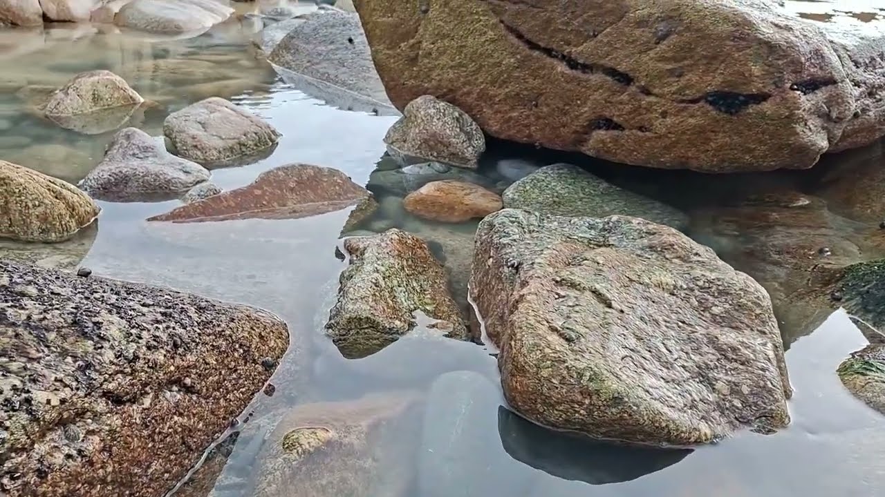 Mother Sea 4