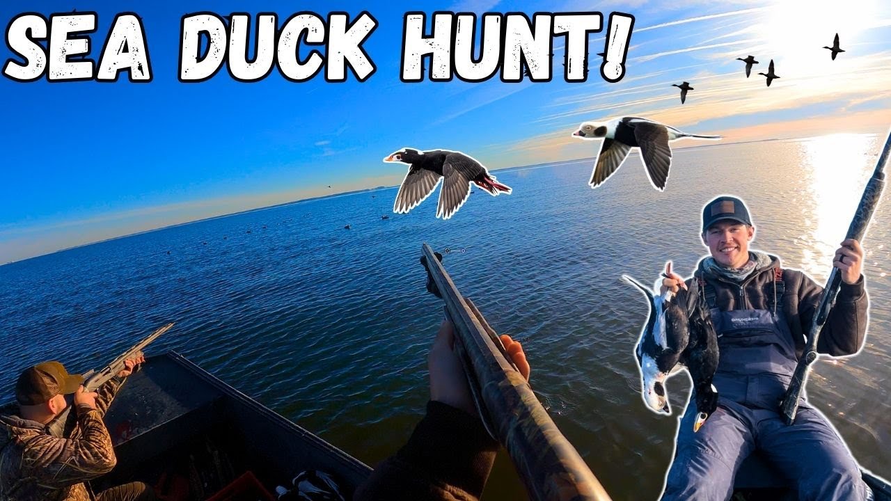 SEA DUCK Hunting In A JON BOAT! Chesapeake Bay Sea Duck Hunt! | Duck Hunting 2024!