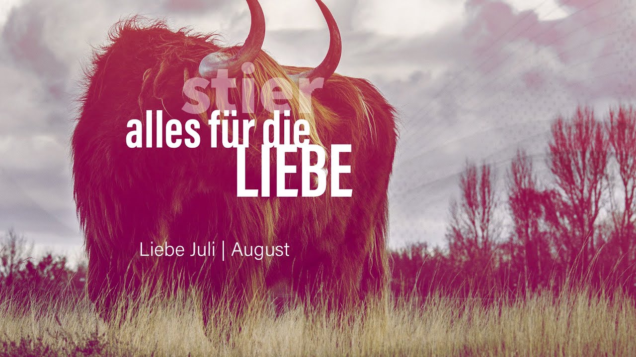 Stier Liebe Juli | August: Alles für die Liebe❤️💖