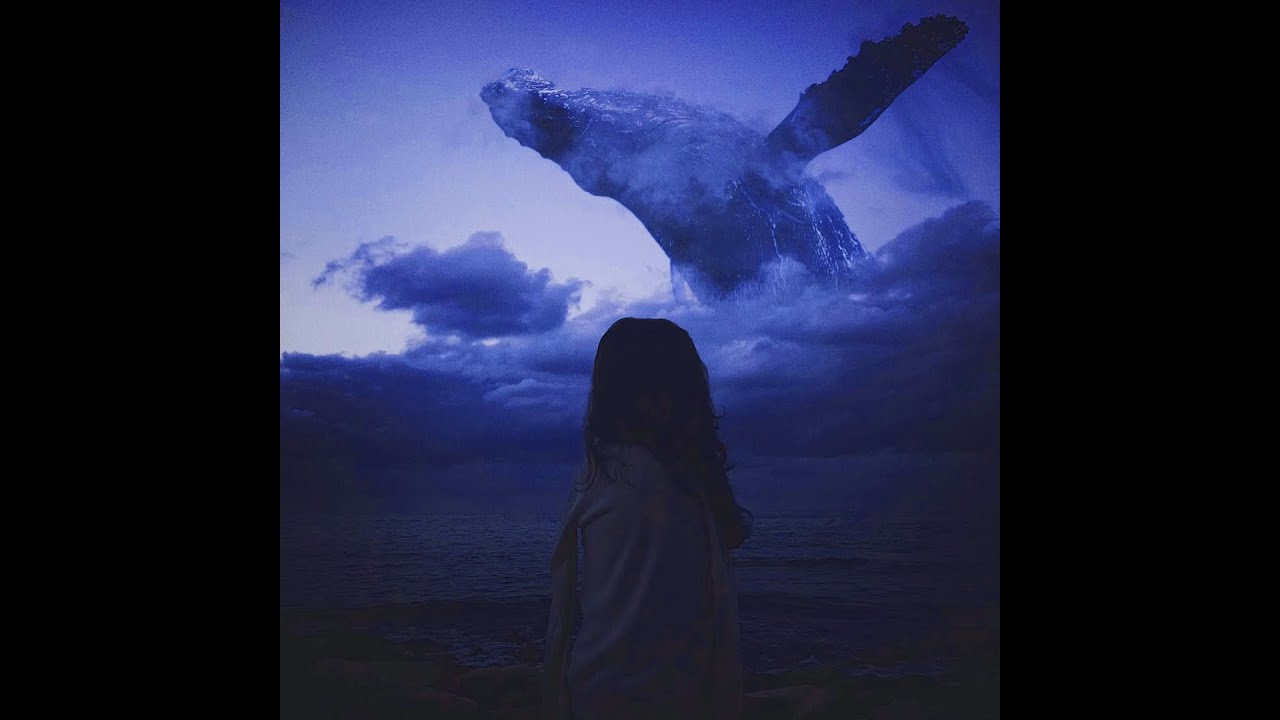 SymphoCat - Long Whale Song (slowed + reverb)