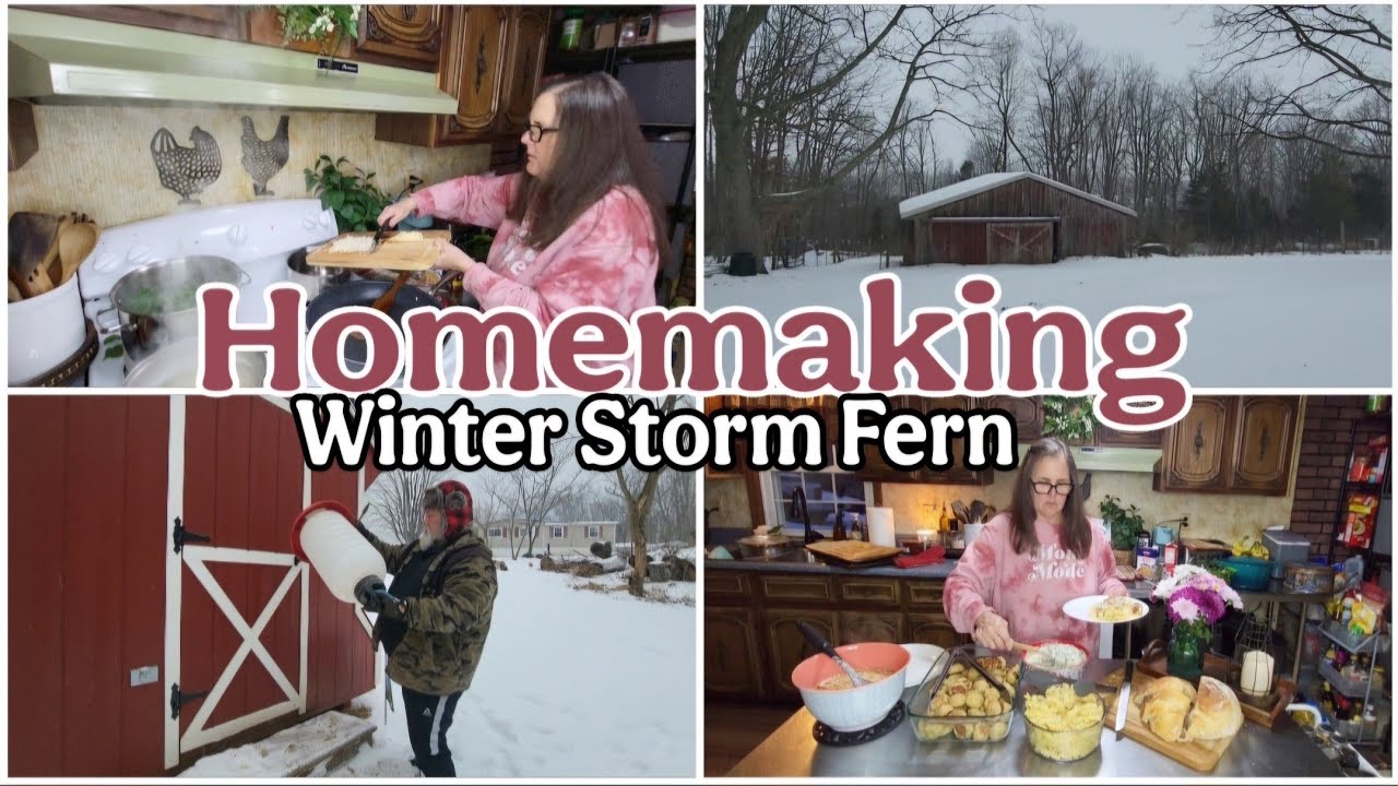 Mobile Home Homemaking in a Winter Storm. / Mobile Home Living 