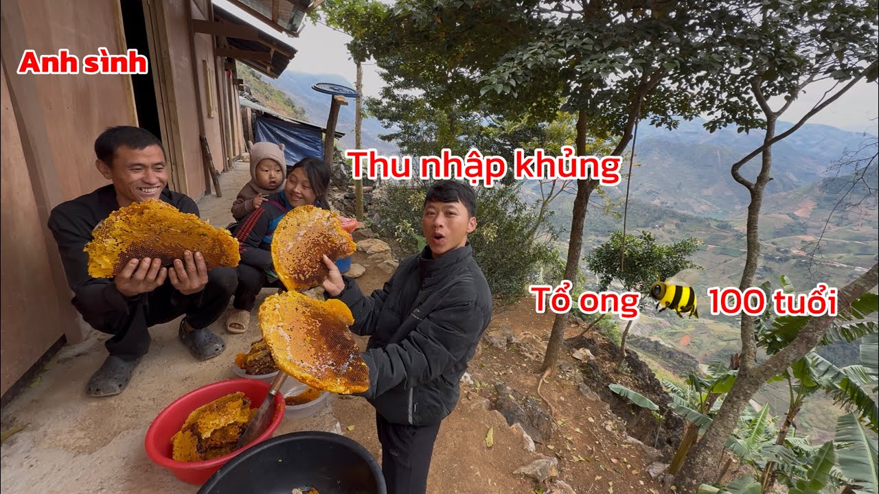 Gọi gấp cháu cháu Dìa gặp mặt vì lý do này,vợ chồng anh Sình thu nhập khủngbắt được tổ ong 100 tuổi.