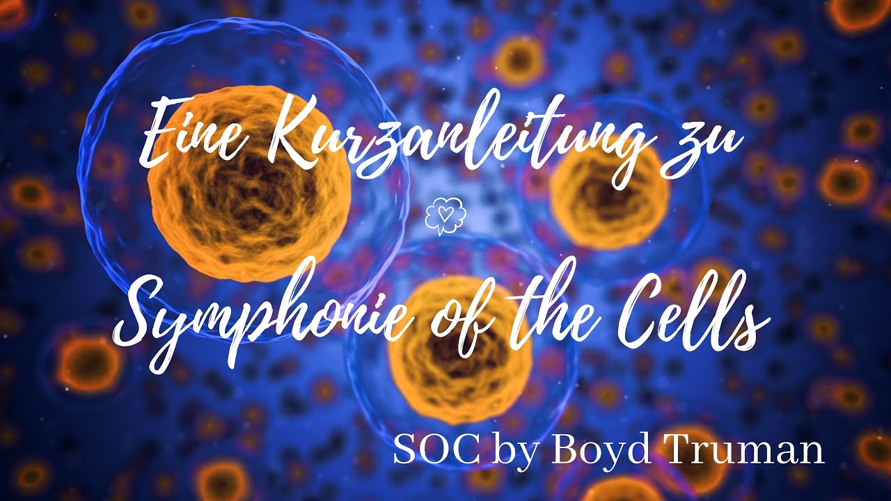 Anwendung von Symphonie of the Cells SOC - Verdauungsprotokoll