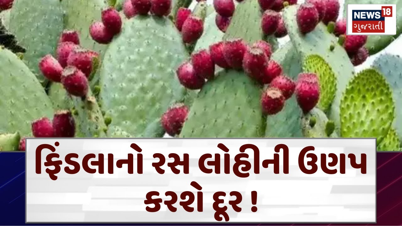 Health Tips: ફિંડલાનો રસ લોહીની ઉણપ કરશે દૂર | Cactus Fruit | Findla | Prickly Pear | News18 | N18V