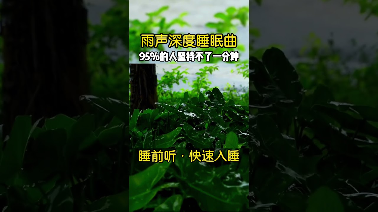 自然雨聲加速進入睡眠，深度睡眠更久 #失眠 #缓解焦虑 #rainnoise #rain #rainsounds #助眠 #白噪音 #asmr