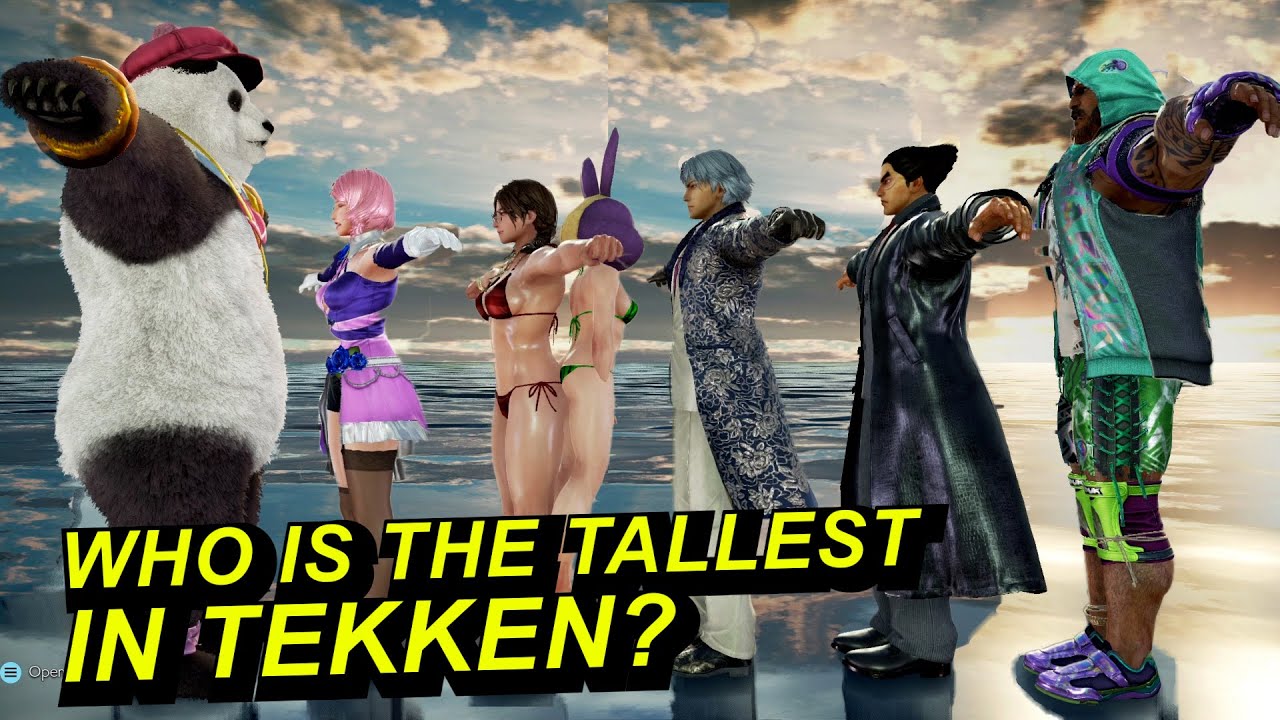 Tekken Characters Height In Game Vs Panda