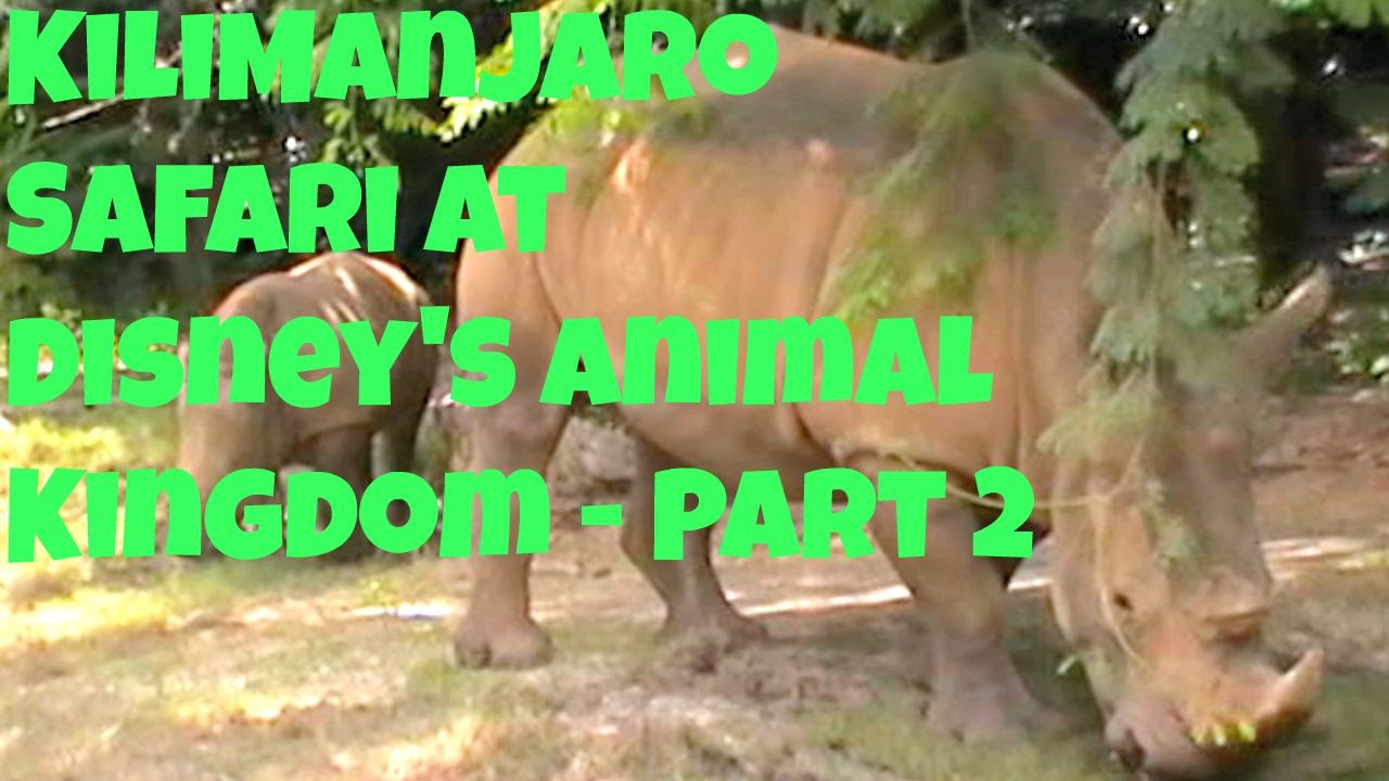 Kilimanjaro Safari at Disney's Animal Kingdom - Part 2 DizneyDan: Ep.5