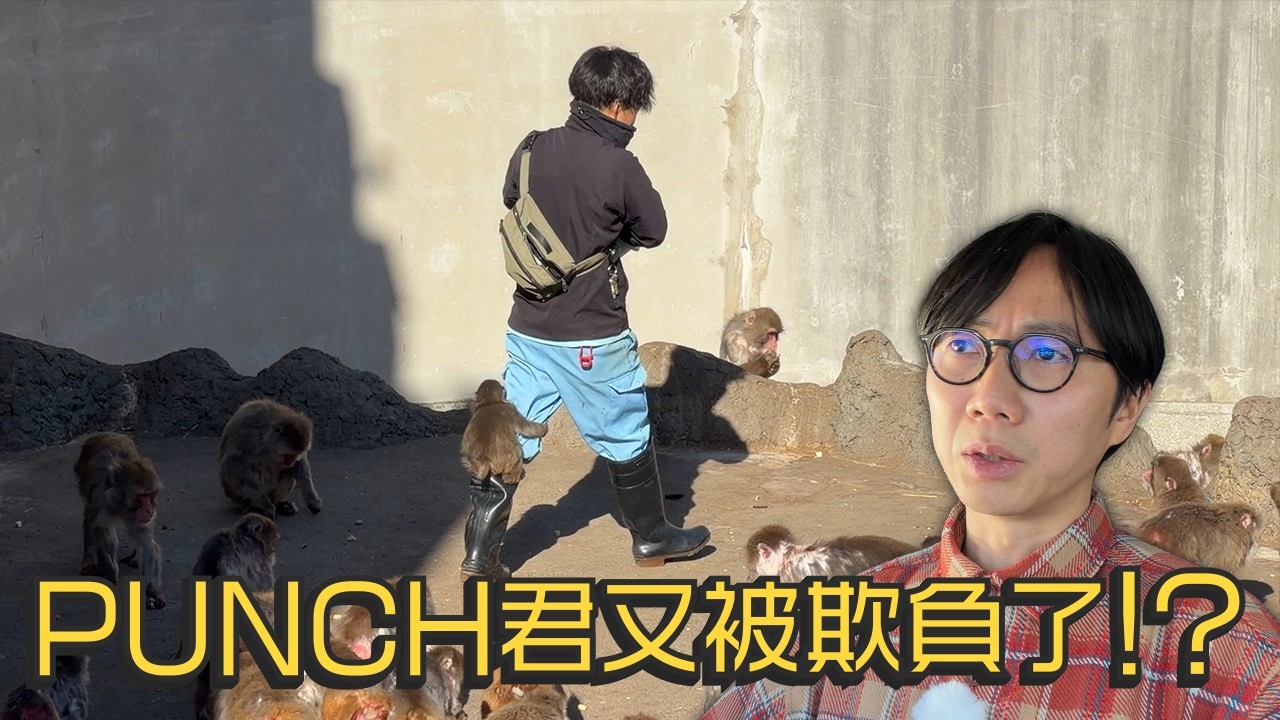 PUNCH君又被欺負了！？人氣沸騰的市川市動植物園 馬騮山人流墟冚實況～