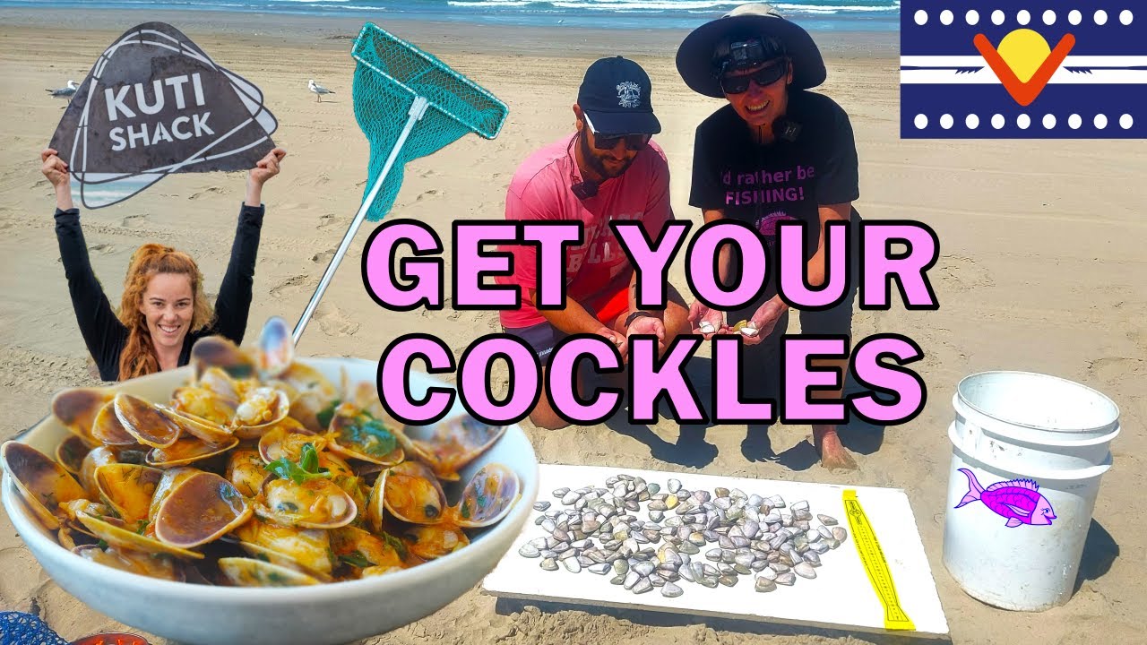How to go Cockling at Goolwa Beach & the Kuti Shack Restaurant