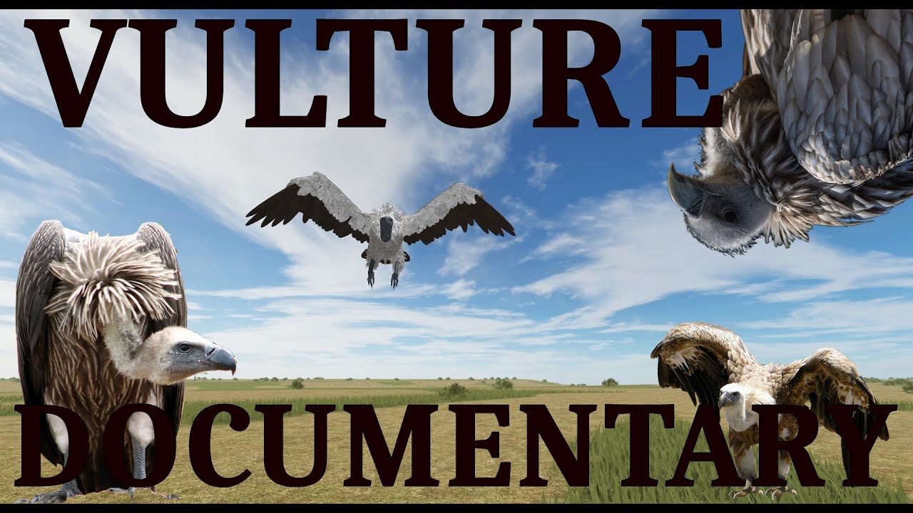 Roblox - Testing A | VULTURE DOCUMENTARY