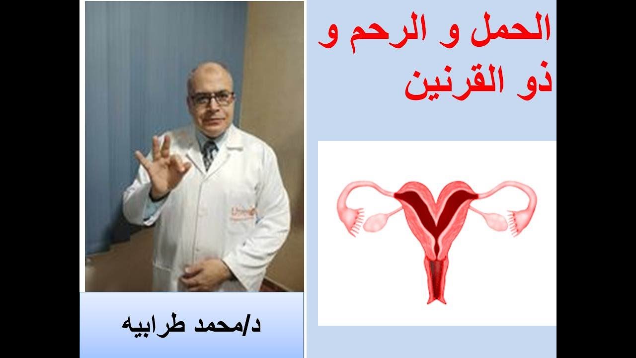 الحمل و الرحم ذو القرنين. 