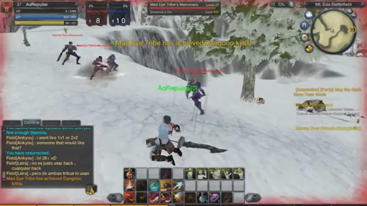 Raiderz | Hacker Dangooo