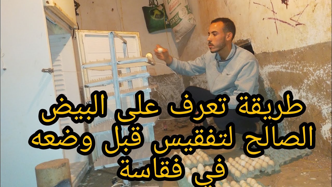 طريقة سريعة وموفر للوقت لتعرف على البيض الصالح لتفقيس قبل وضعه في فقاسة