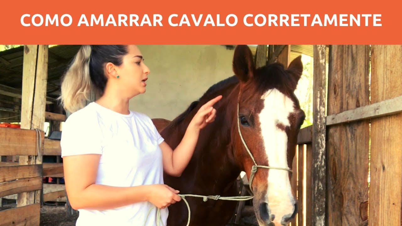 COMO AMARRAR CAVALO CORRETAMENTE- Evite Acidentes!