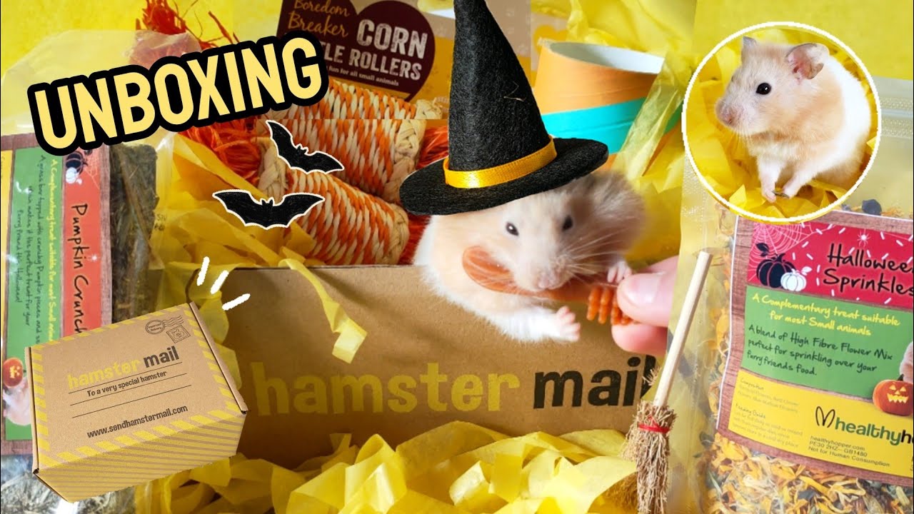 Hamster Mail Unboxing! - Pet Treat Haul - October Halloween Box 2023 + New Cage Setup 🐹🚚🎃