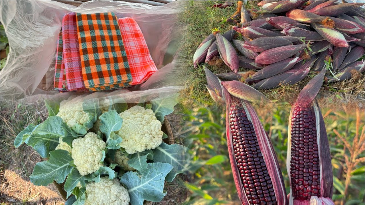 ขายตลอดจ้าดอกผักข้าวโพด ขอบคุณพี่สาวที่อุดหนุนแม่ลุน😍🙏