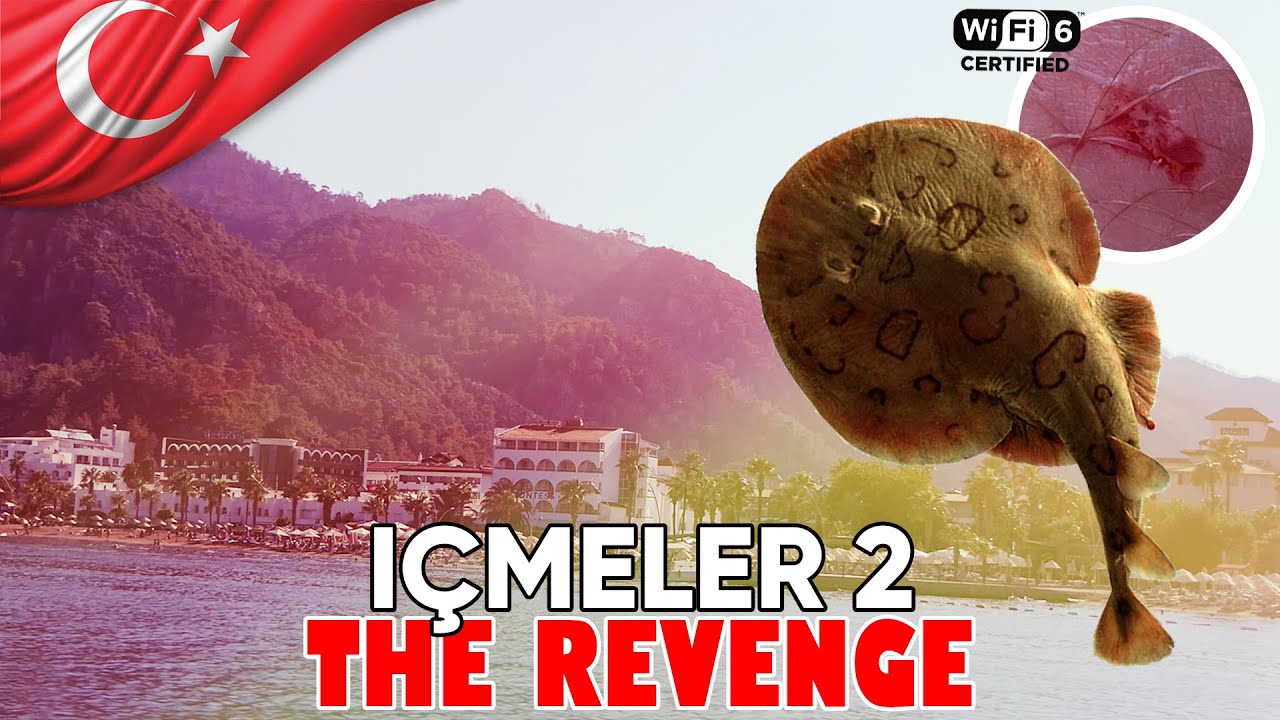 TURKEY 2023 ||| 11.  ICMELER 2: THE REVENGE
