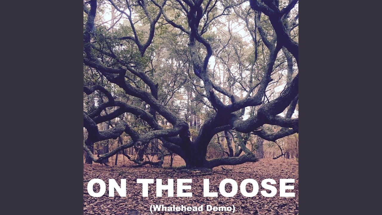 On The Loose (feat. Jonathan Capps & Friday's Found) (Whalehead Demo)