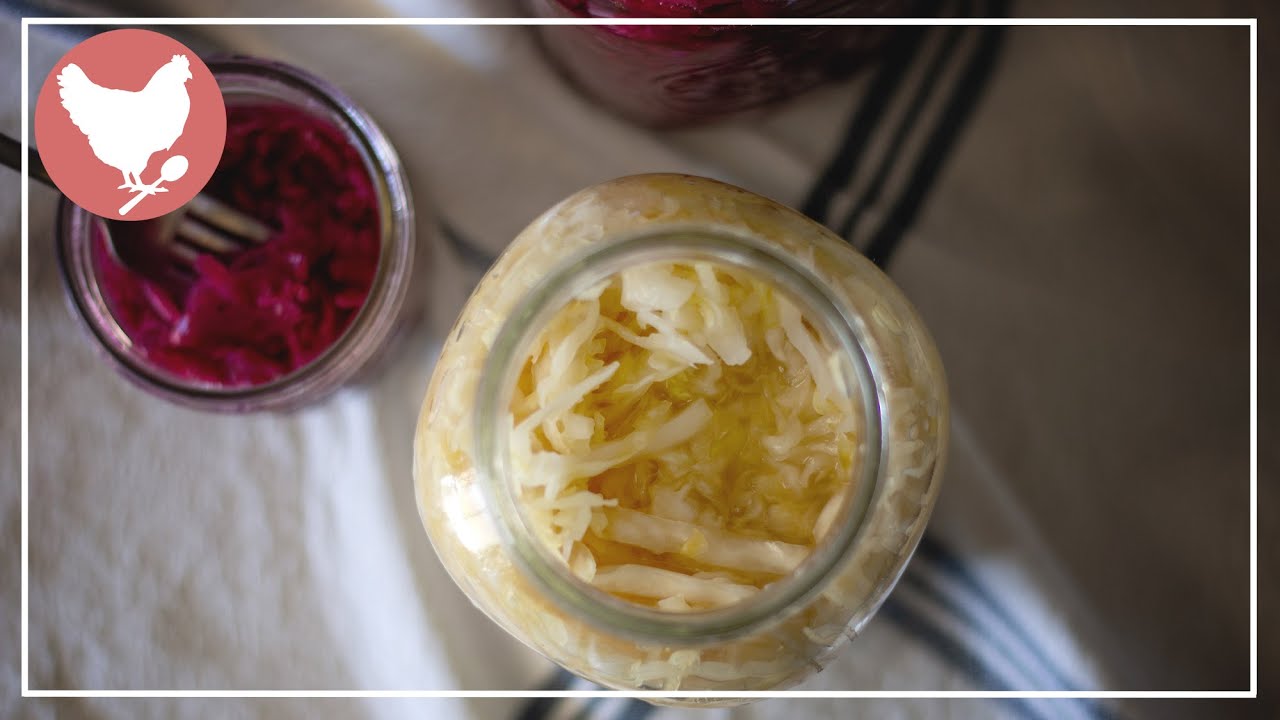 Simple Homemade Sauerkraut - Fermented February  | Cosmopolitan Cornbread