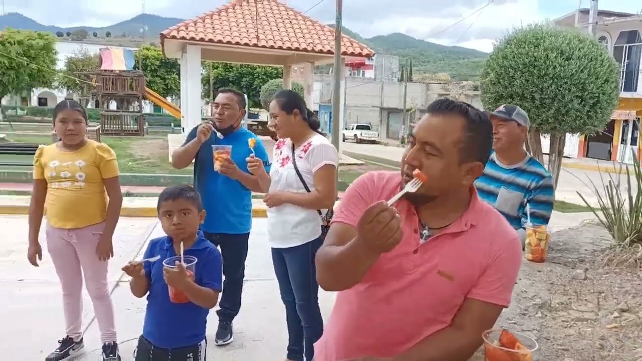 Santos Reyes Tepejillo ~ Vamos de visita al Mirador de Tepejillo