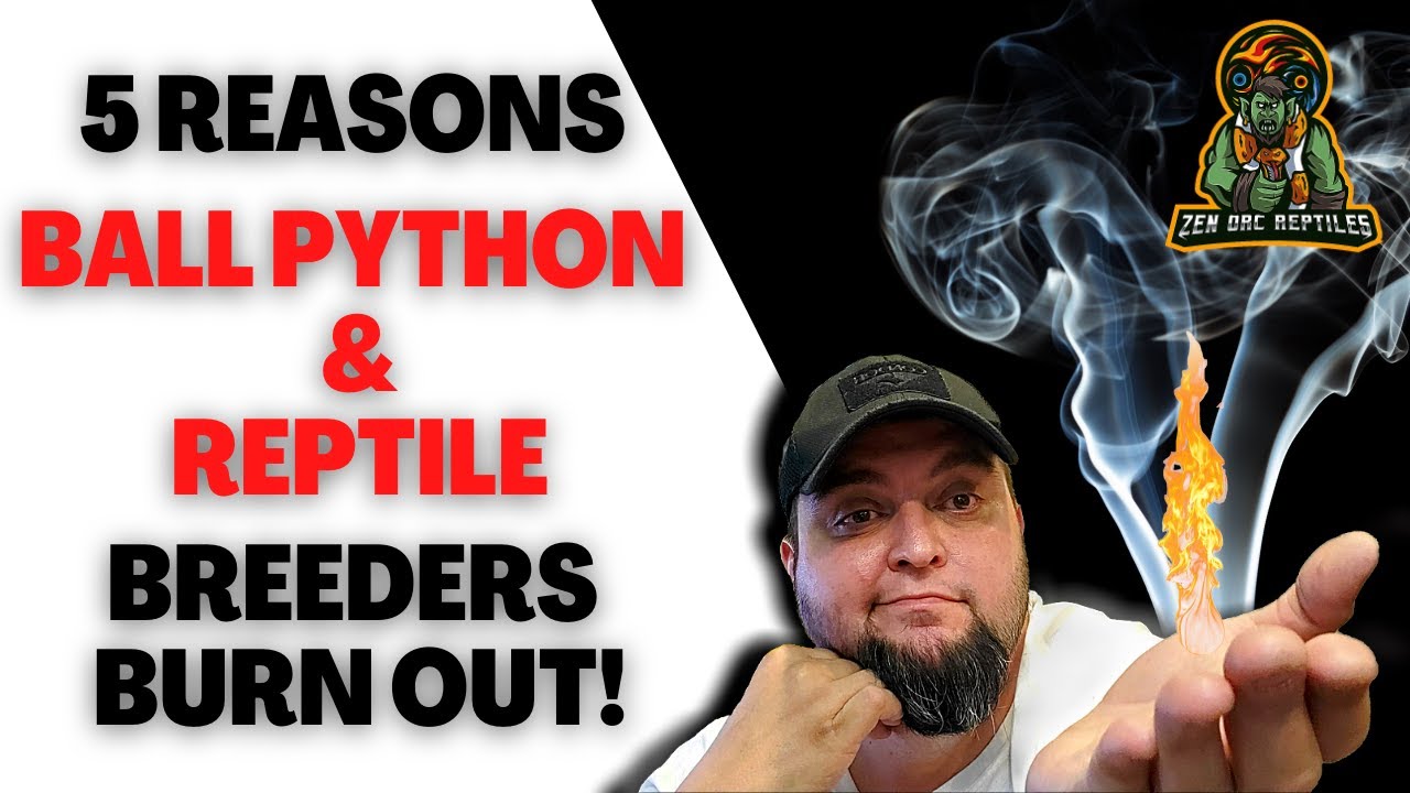 5 Things That Cause Reptile & Ball Python Breeders to Quit!
