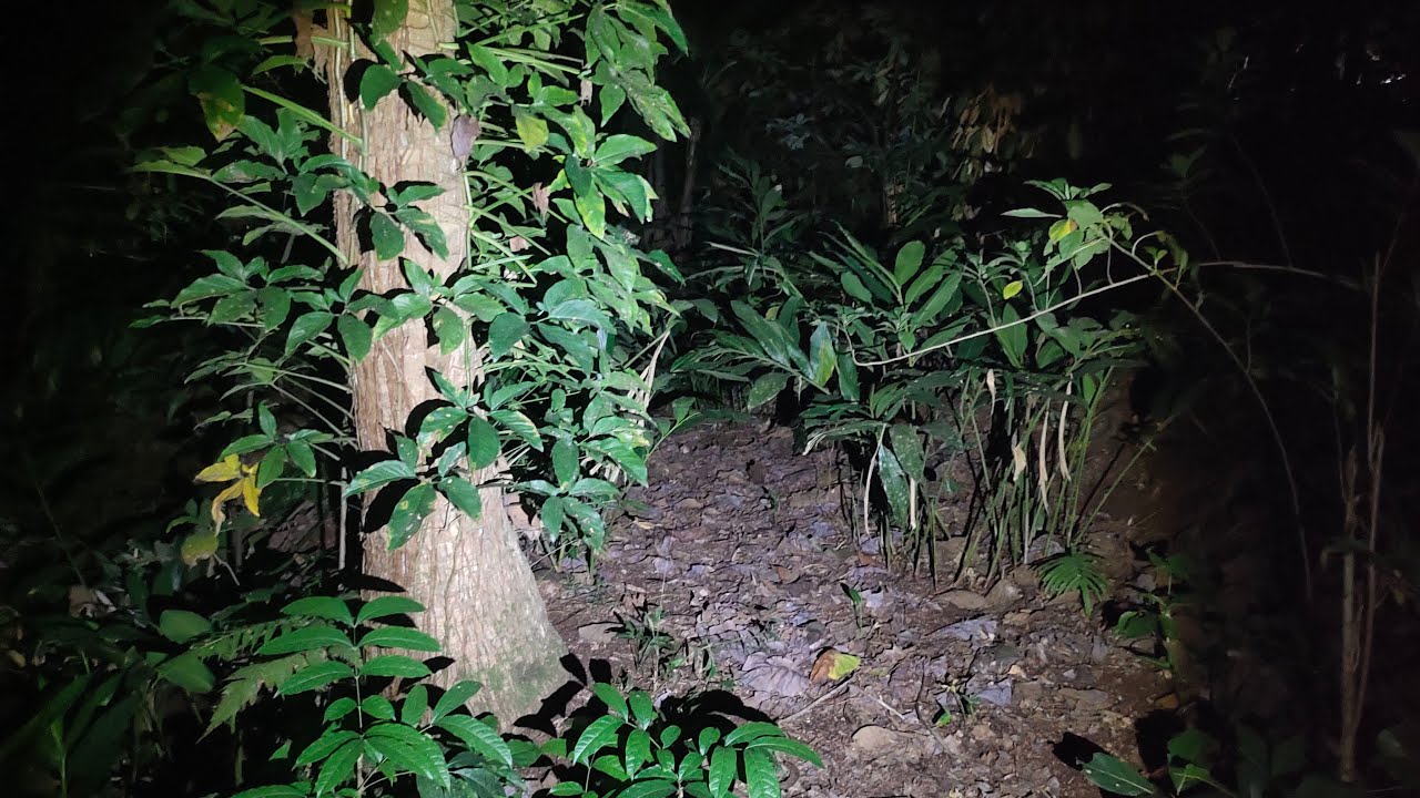 Cari Hantu Malam Ini