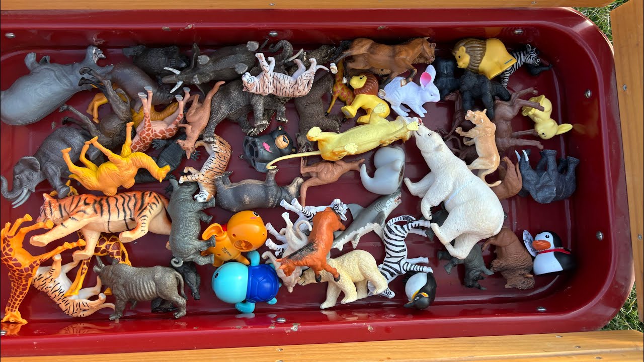 Toy Animal line up! Learning animal names! Learn English! | Zoo Animals| Safari Animals