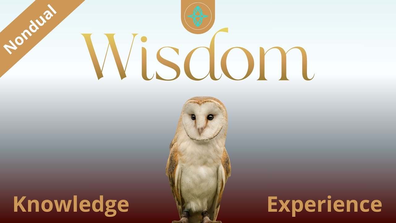 🧠 Nondual Wisdom: Moving Through the Duality of Knowledge and Experience