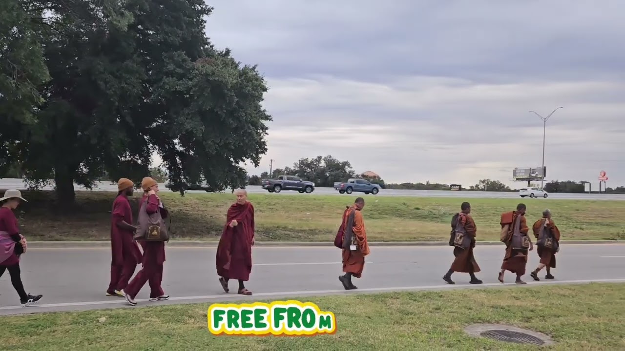 Ngày 7 - Walk for Peace