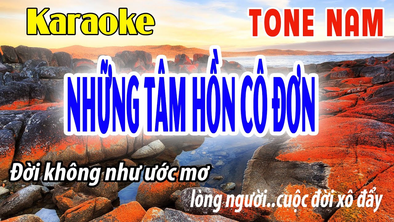 Karaoke Tone Nam Những Tâm Hồn Cô Đơn Beat Phối Mới | Am | Đời Sống Và Âm Nhạc