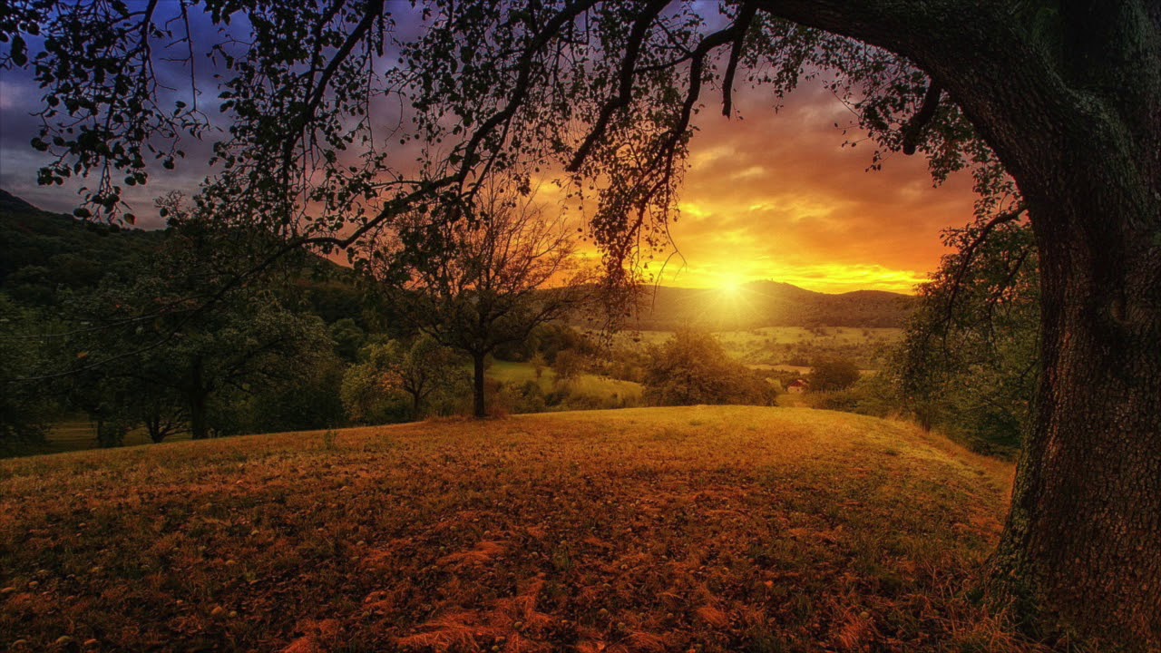 Music of Sri Chinmoy - Shindhu -  Immortality's Dawn