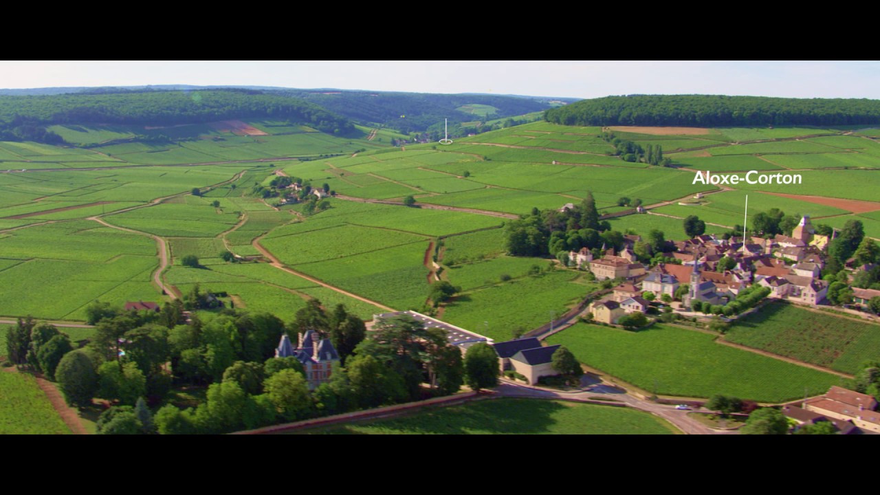 Le vignoble de Bourgogne vu du ciel - Sur la route des Grands Crus
