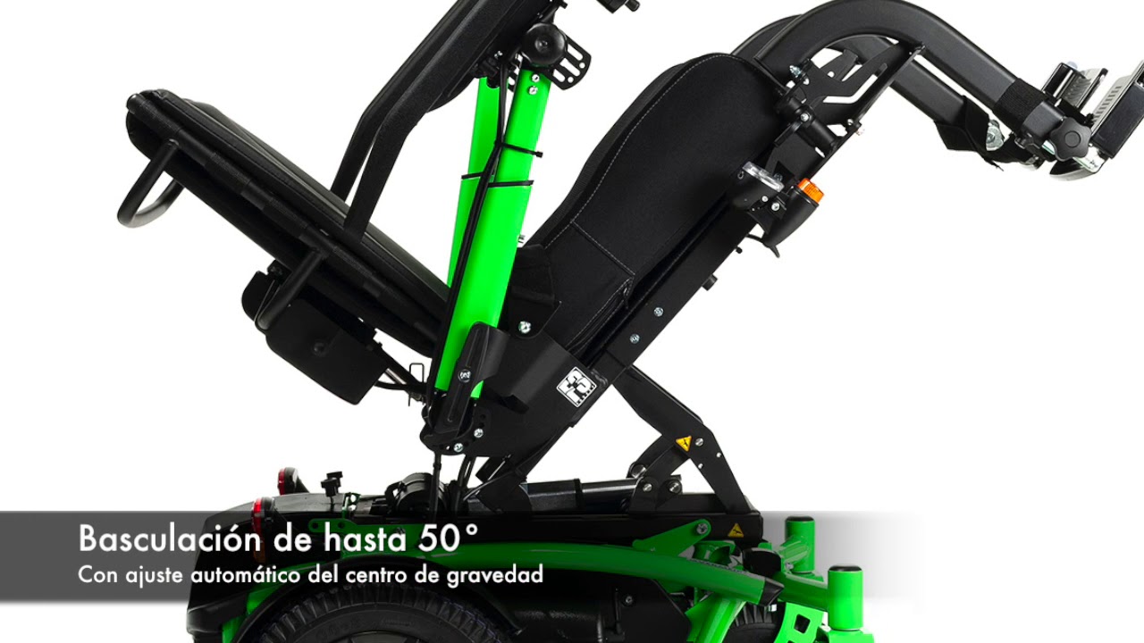 NUEVA FOREST 3