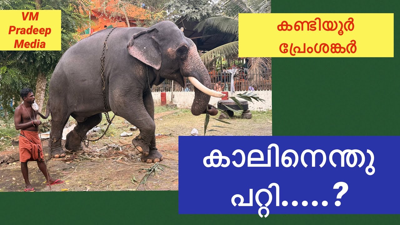കണ്ടിയൂർ പ്രേംശങ്കർ മുൻകാലിന് എന്തു പറ്റി?@VMPRADEEP 
