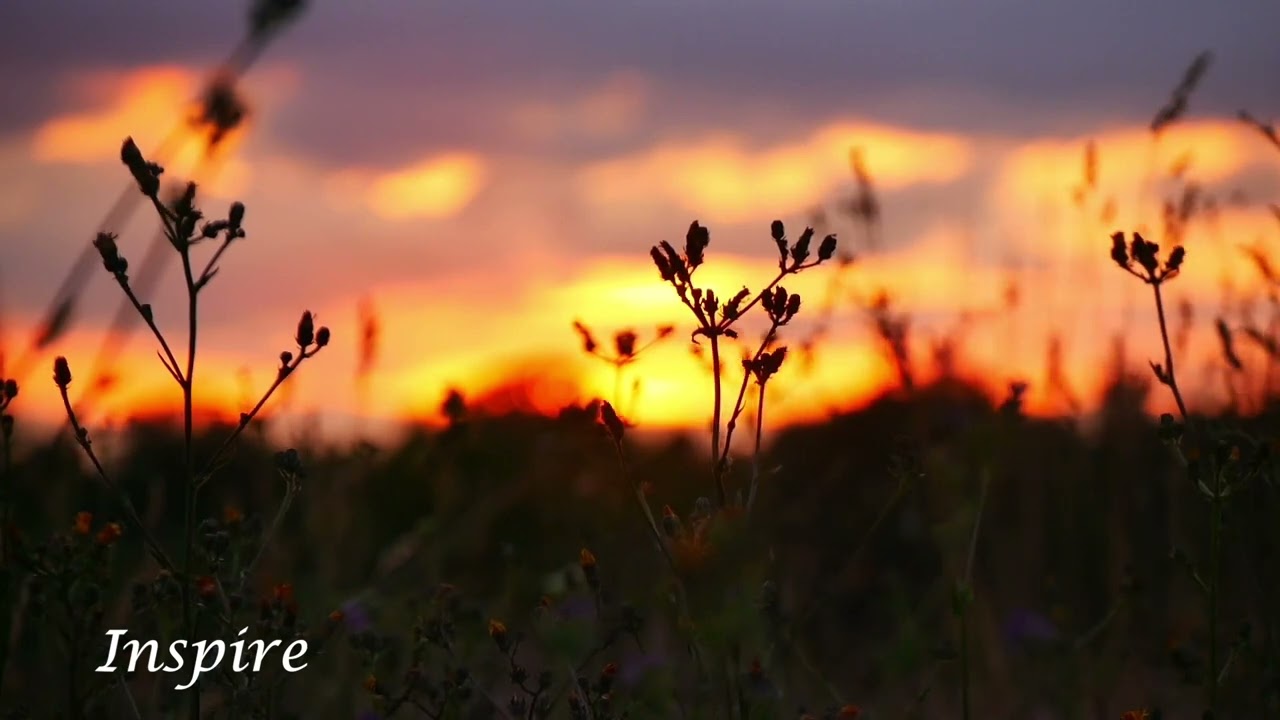Music and Meditation Part 38 April 2025