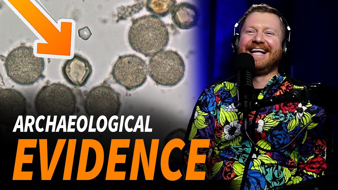 Archaeological Evidence of the Book of Mormon found in Mesoamerican Pollen Samples and Cement!
