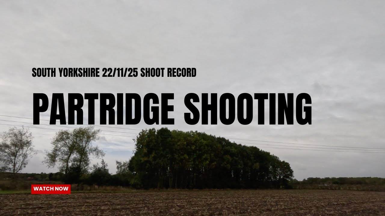 Partridge Shooting (Shoot Record)