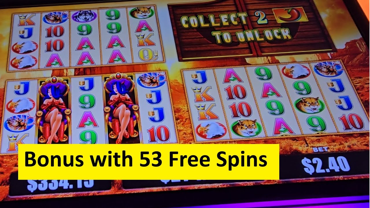 Super Big Win on the Buffalo and Friends Slot!! Aristocrat Game
