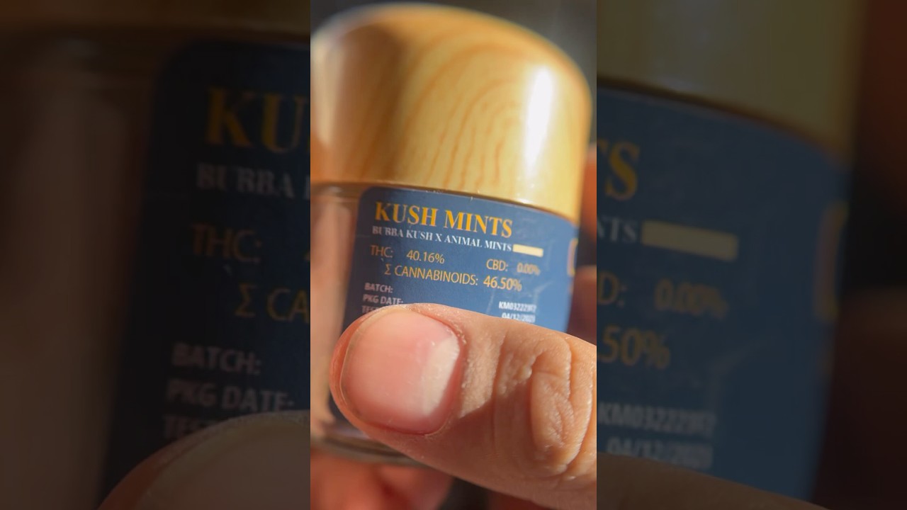 CAM - Kush Mints
