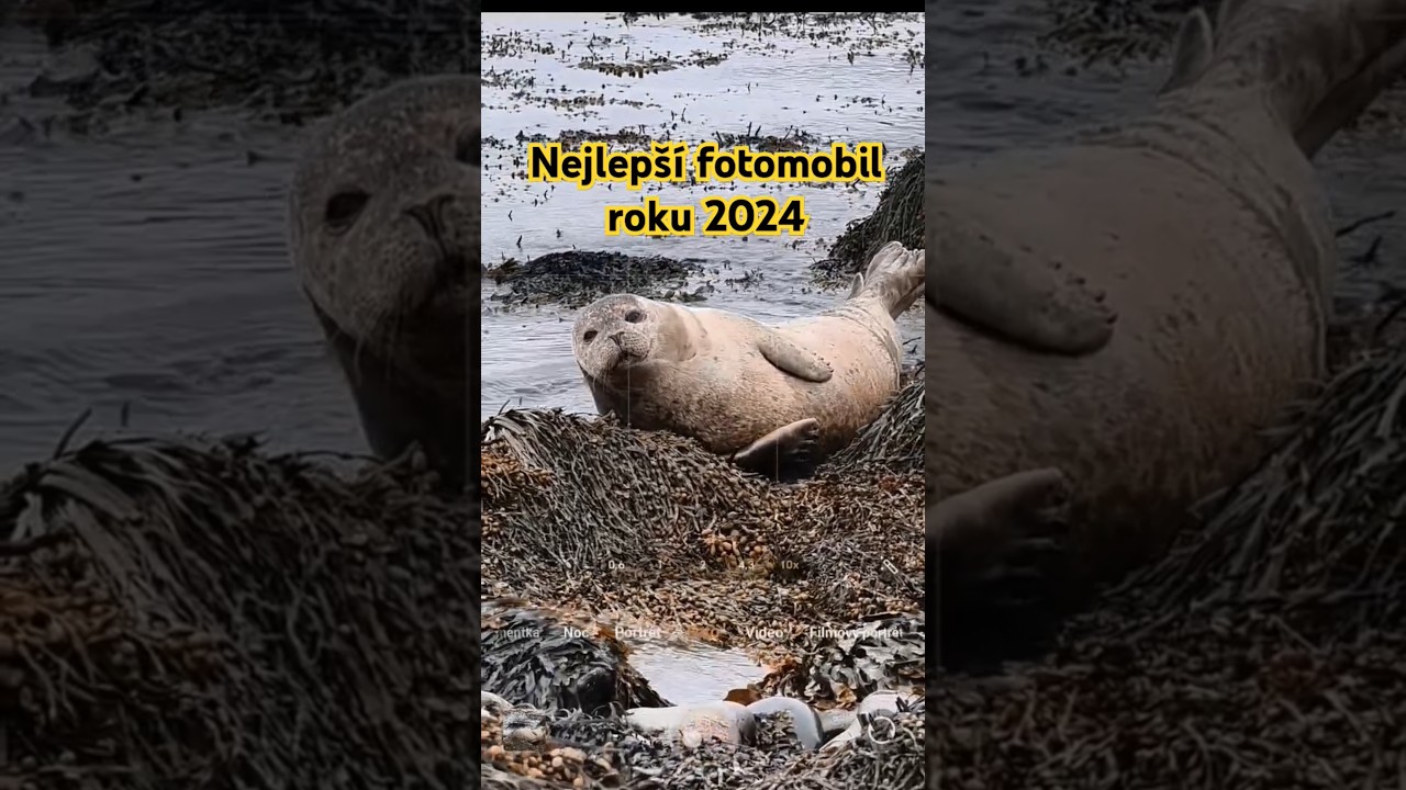 Nejlepší fotomobil roku 2024? Který tedy vede!