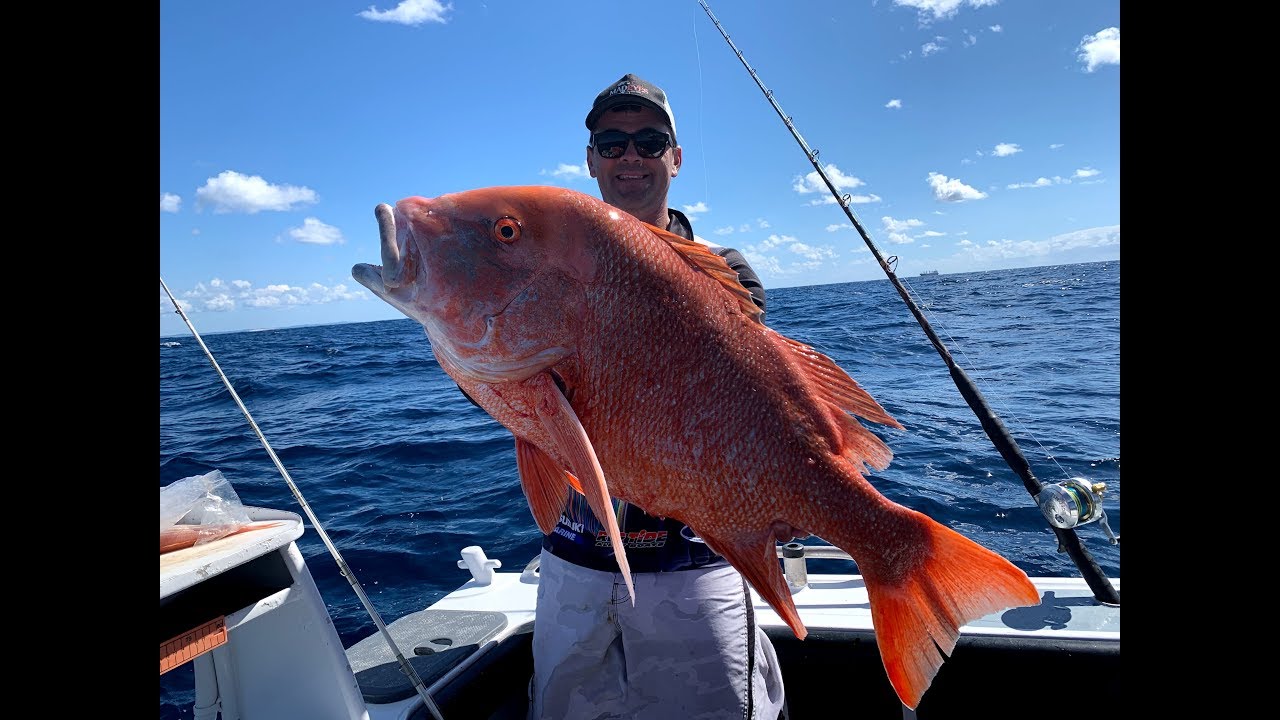 Offshore Fishing Fraser 2019