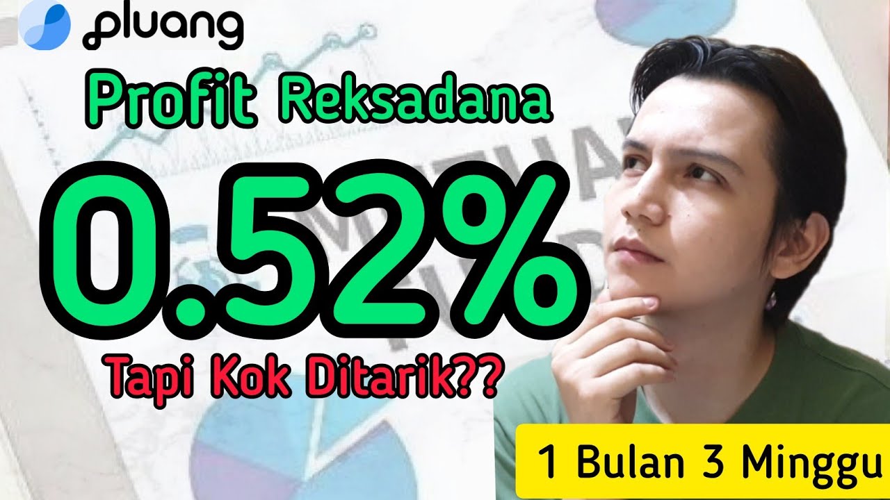 REVIEW INVESTASI REKSADANA DI PLUANG 1 BULAN 3 MINGGU || REVIEW PLUANG