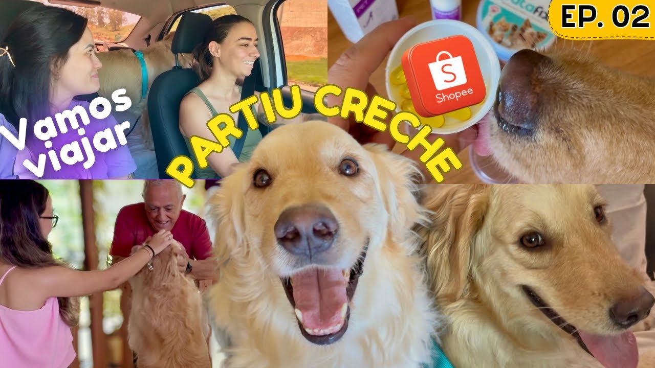 VAMOS VIAJAR! BORA LEVAR O CHICO PRA CRECHE 🐾🦮